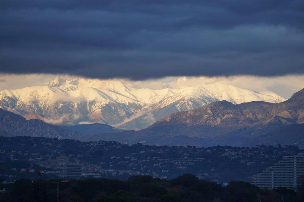 Superbe Appartement, Piscine, Vue Mer Et Montagnes Antibes Exteriér fotografie