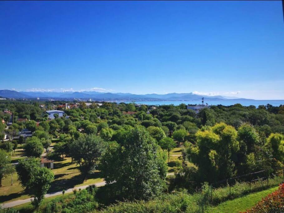 Superbe Appartement, Piscine, Vue Mer Et Montagnes Antibes Exteriér fotografie